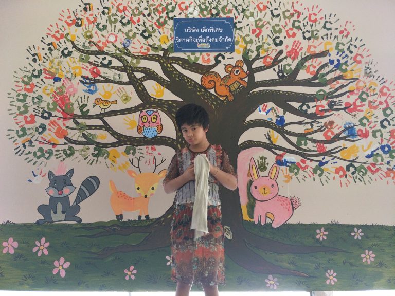 SE ดาว พังงา หนังสือรับรองกิจการเพื่อสังคม SE Soucial Enterprise กิจการเพื่อสังคม เด็กพิเศษ ออทิสติกพังงา GYM SET AVAUTIS
